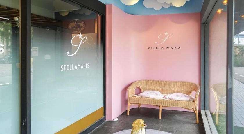 Wolmido Stella Maris Hotel - image 33
