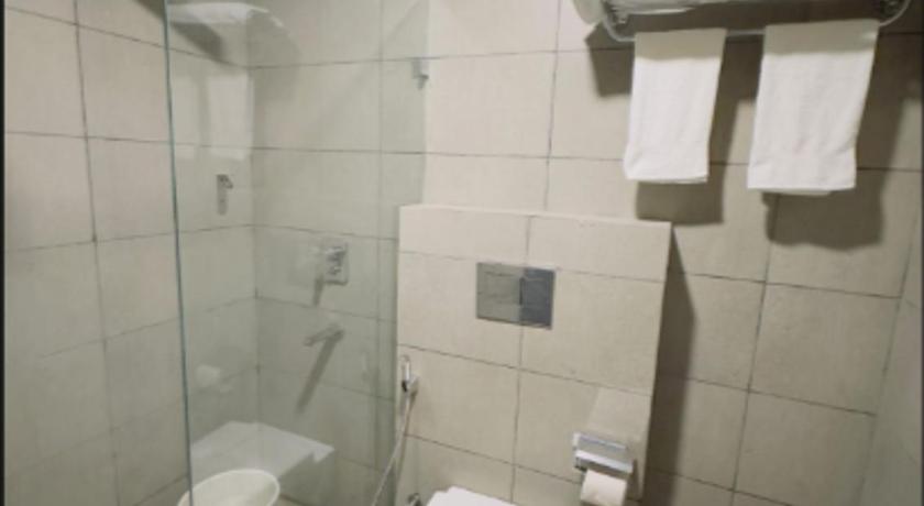 Hotel Aarkay Palace - image 12