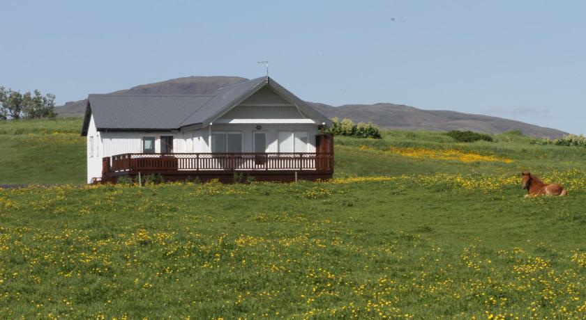 Stryta Guesthouse — Hotel in Hveragerdi