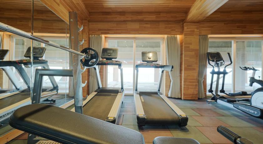 Treetop by Eight Continents Royalpine Kasauli - image 22