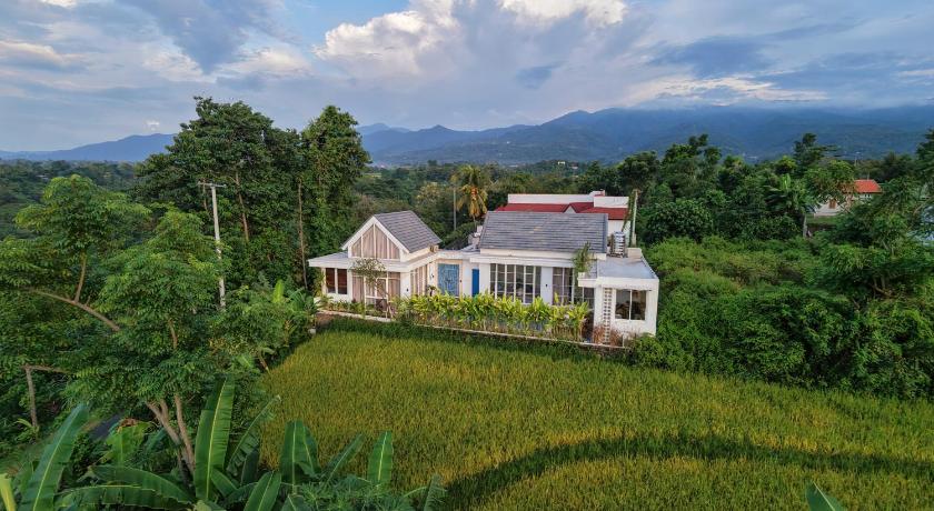 Tampilan Brand New ! Villa Bella Lovina - Private Pool - Rice Field View