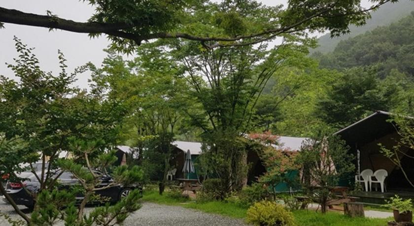 계룡산 글램핑 동월숲