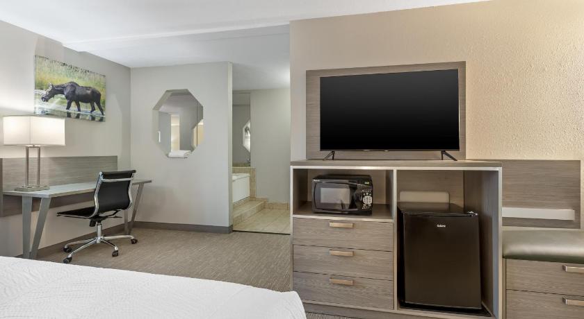 Image of Suite - 1 King Bed, Nonsmoking, Whirlpool, Sofa 7