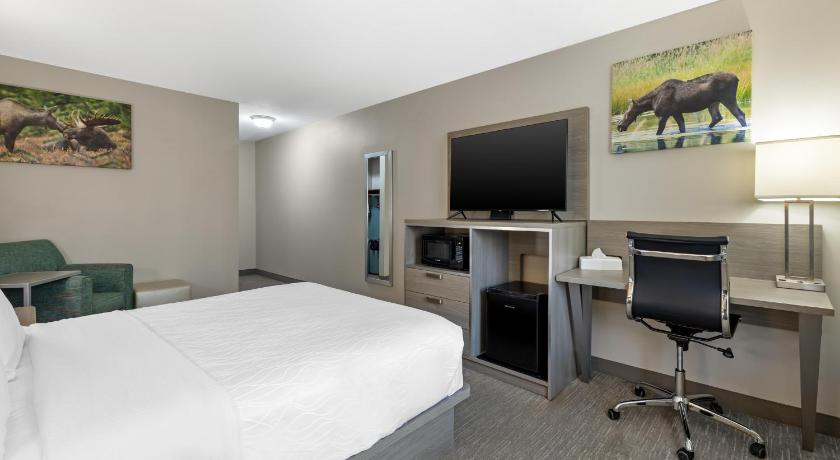 Image of Accessibility - 1 Queen Bed, Roll-in Shower, Nonsmoking 4