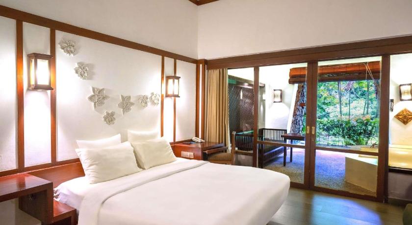 Image of Deluxe room 1 king bed with bathtub 4