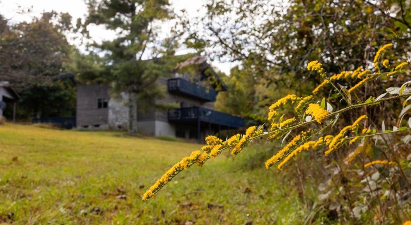 168 Secluded Acres Trails, Winery 5BR