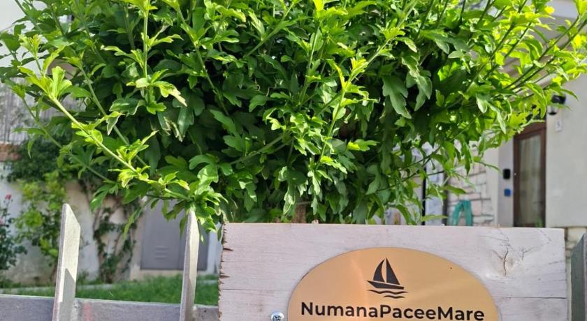 NumanaPaceeMare