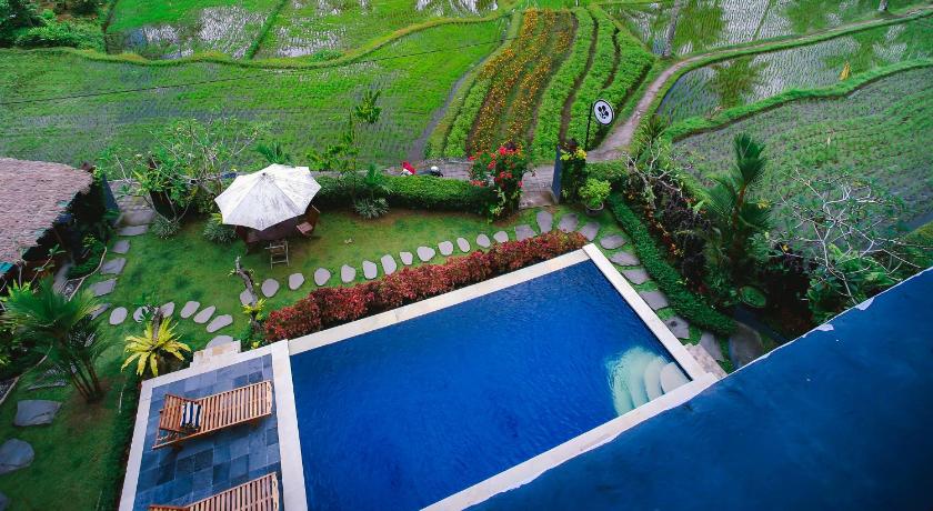The Life Artelier Ubud - image 16
