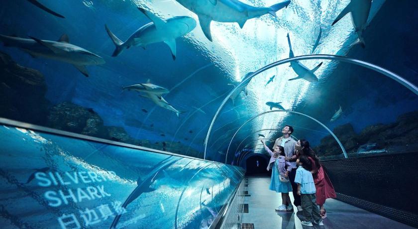 Kuva huoneesta 3D2N Stay & Play Package - Deluxe Room with complimentary One-Day Tickets for 2 Adults to Universal Studios Singapore & Singapore Oceanarium 1