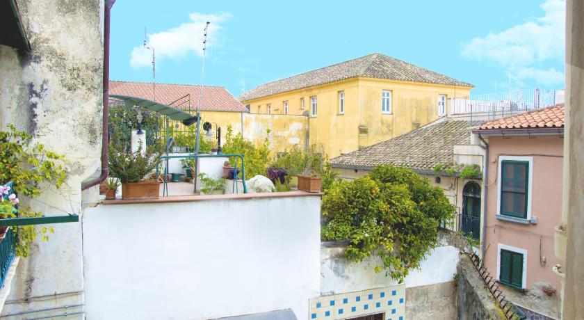 Image of Superior 15