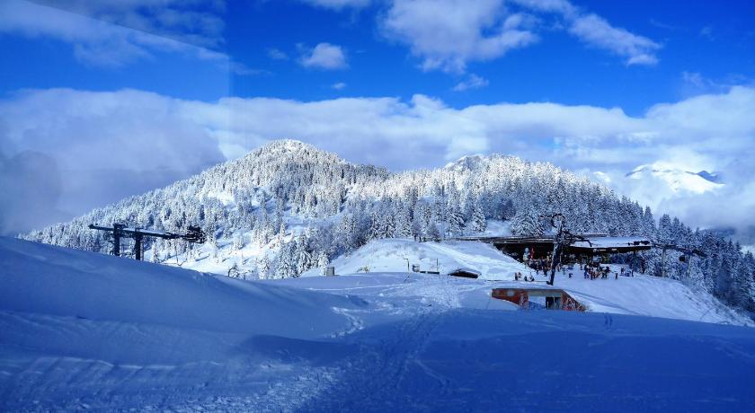 Chalet Hotel du Bois