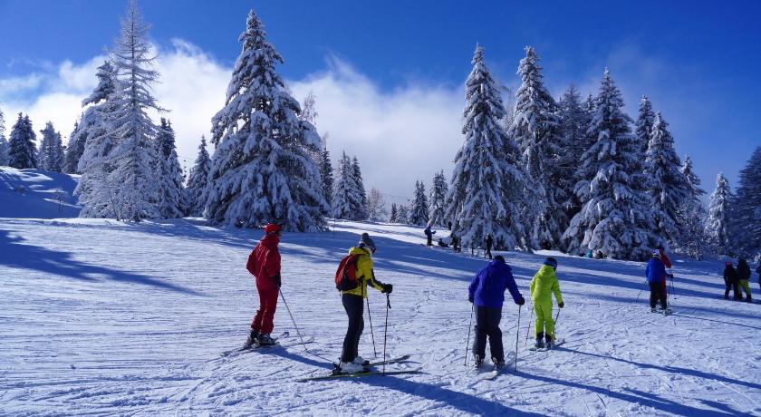 Chalet Hotel du Bois