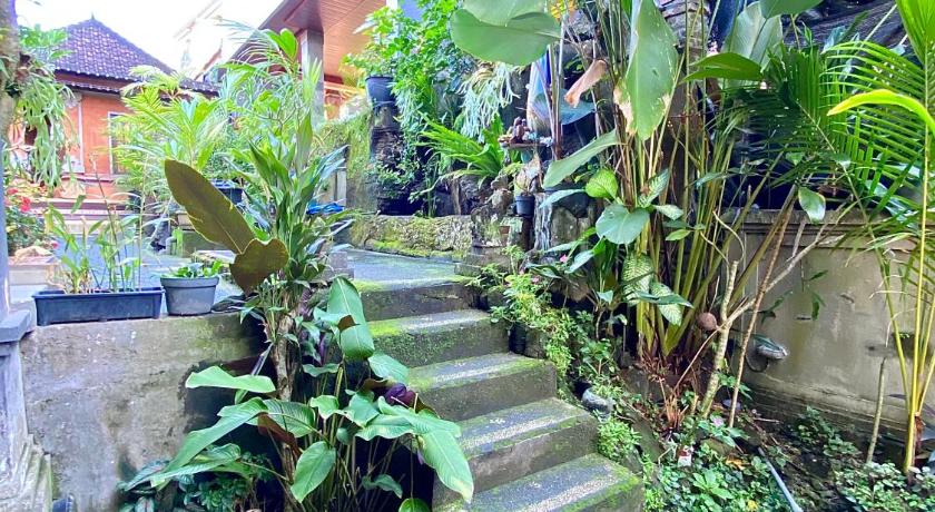 Pancer House - image 13