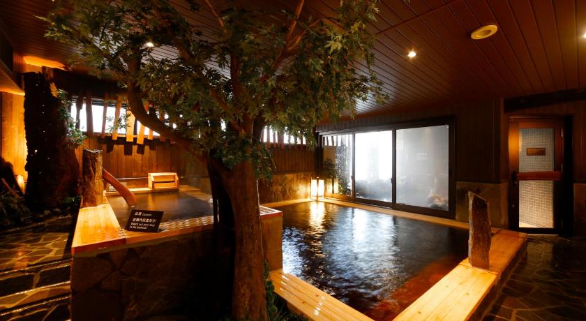 a large swimming pool with a tree in front of it, Dormy Inn Toyama Natural Hot Spring in Toyama