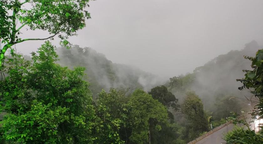 Grand Munnar Rooms - image 29