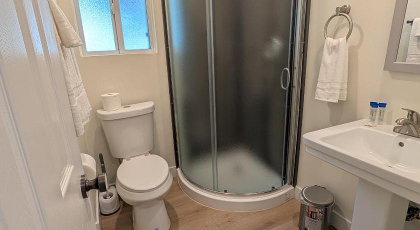 Immagine di Suite 2