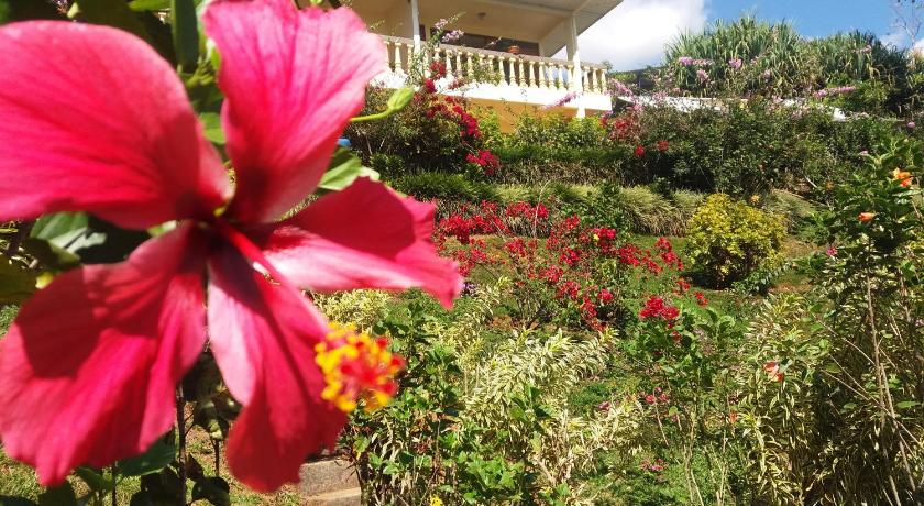 La Princesa Hotel photo