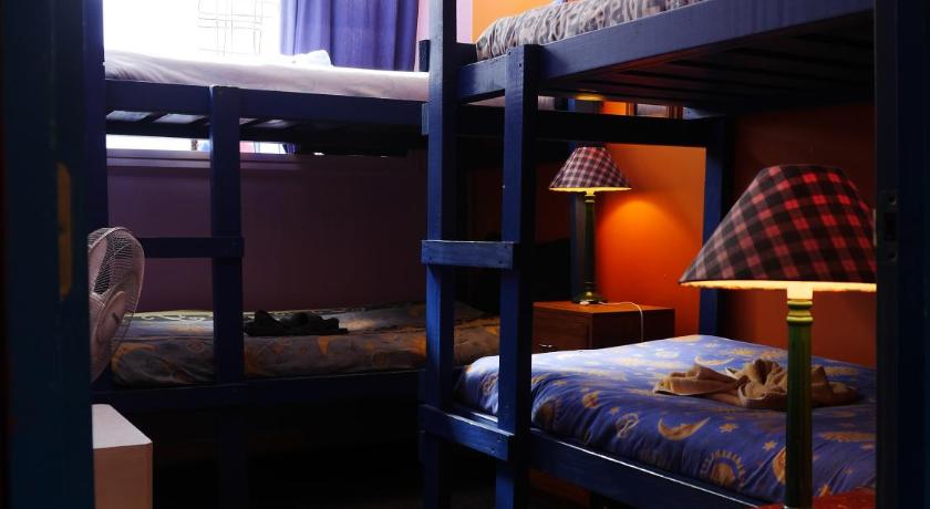 Image of Bunk Bed in Female Dormitory Room 0