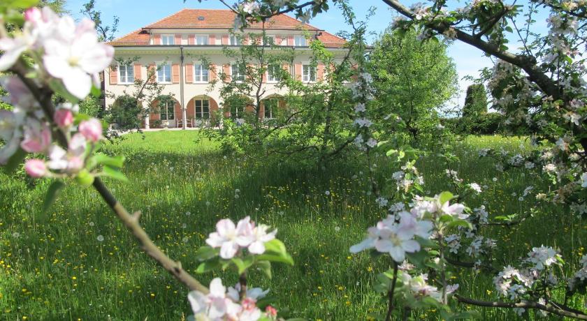 Bildungszentrum Burgbühl  photo