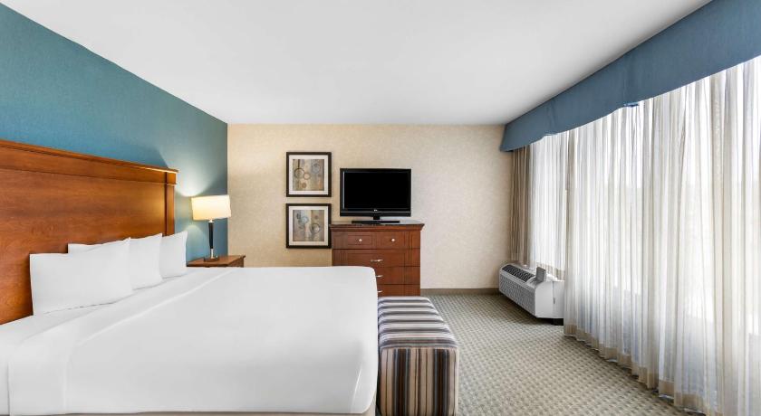 Image of King Suite 0