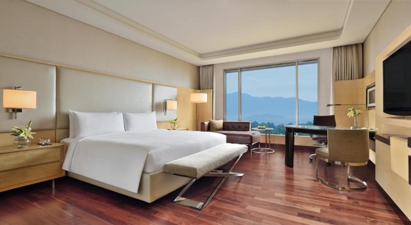 Image of Executive lounge access, Executive Guest room, 1 King 1