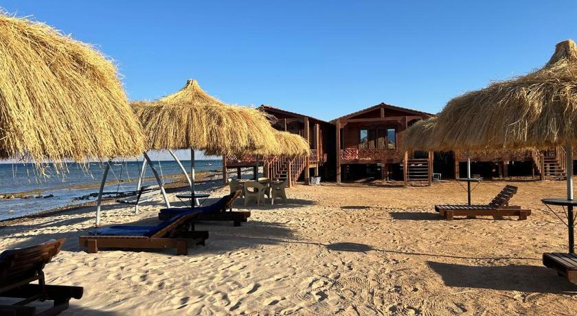 Free Beach Camp