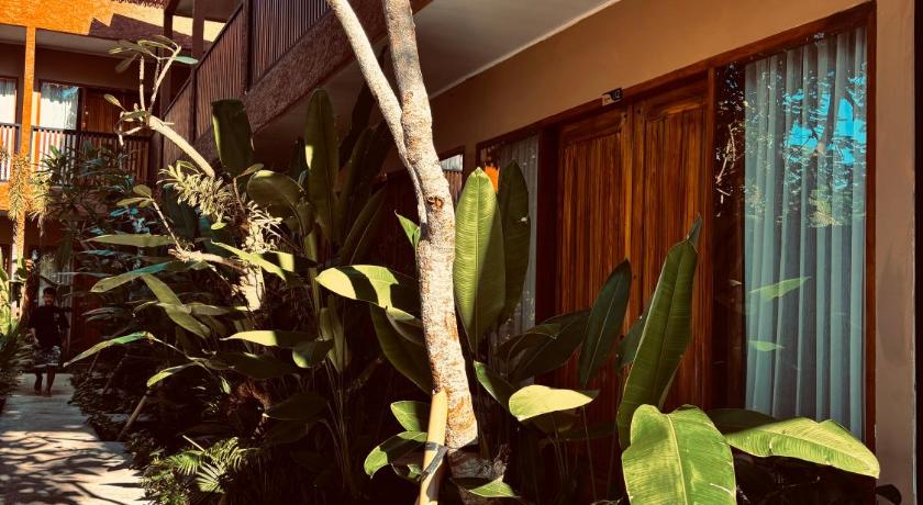 Home Dejavu - image 17
