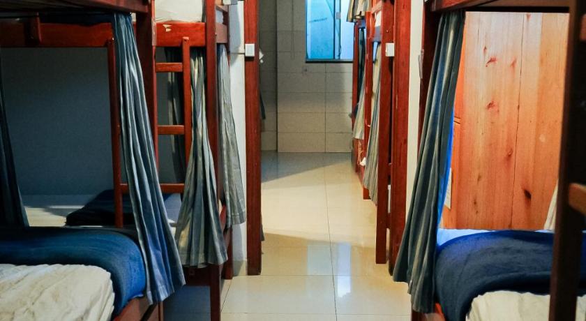 Image of Bunk Bed in Mixed Dormitory Room 4