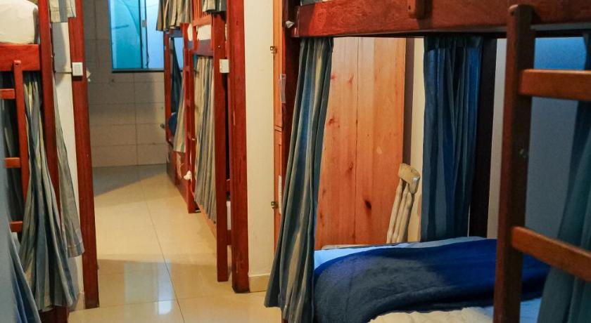 Image of Bunk Bed in Mixed Dormitory Room 1