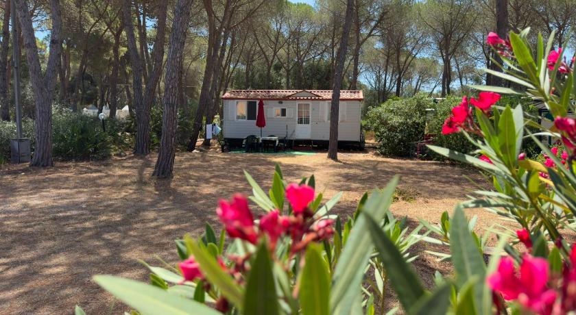 Image of Two-Bedroom Mobile Home 9