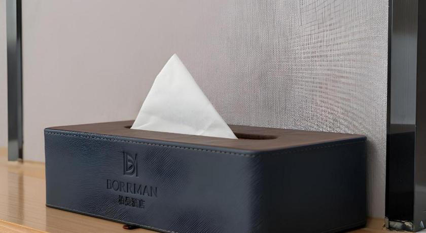 Borrman Hotel Guangzhou Shisanhang Ximenkou Metro Station – Guangzhou (Canton)