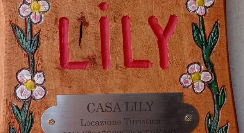 Casa Lily