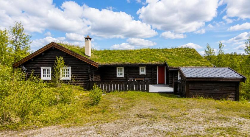 Large, cozy, and spacious cabin in Geilo, Kikut