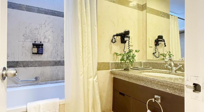 صورة غرفة بريمير من غرفة واحدة (1-Bedroom Premier) 2