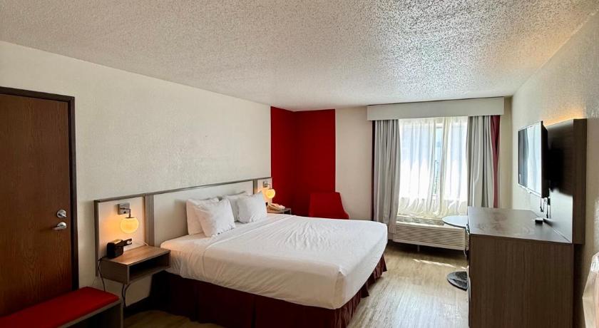 صورة كينيغ - لغير المدخنين (King Room - Non-Smoking) 0