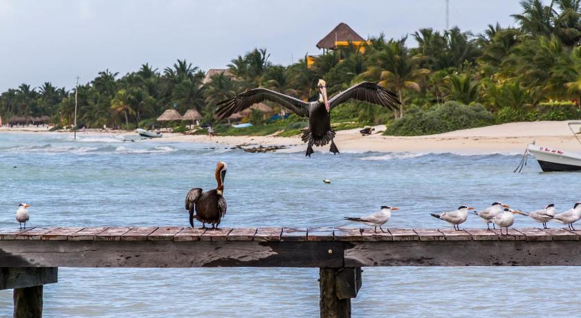 Cielo Maya Beach Tulum