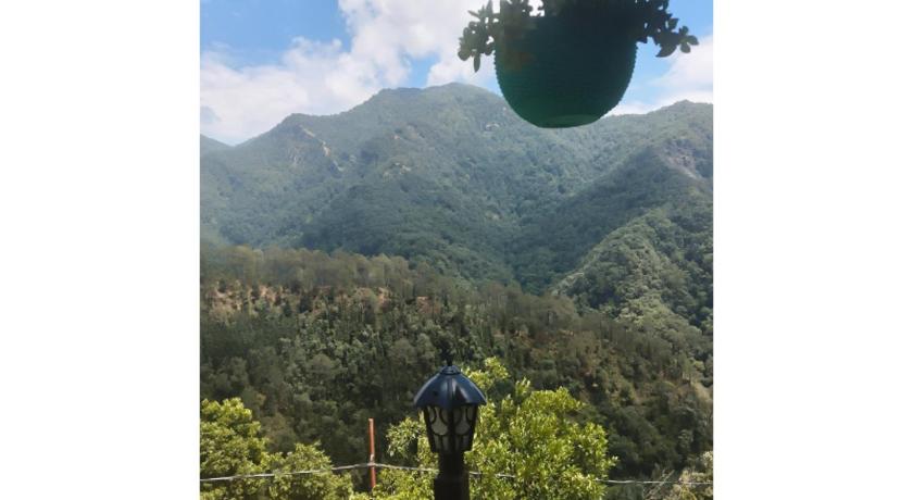 Jungle Valley Camp & Resort - image 8