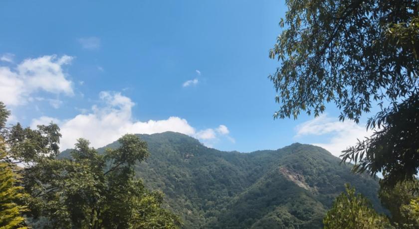 Jungle Valley Camp & Resort - image 14
