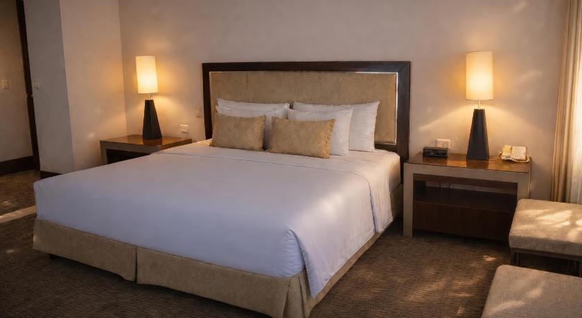 Image of Presidential Suite 0