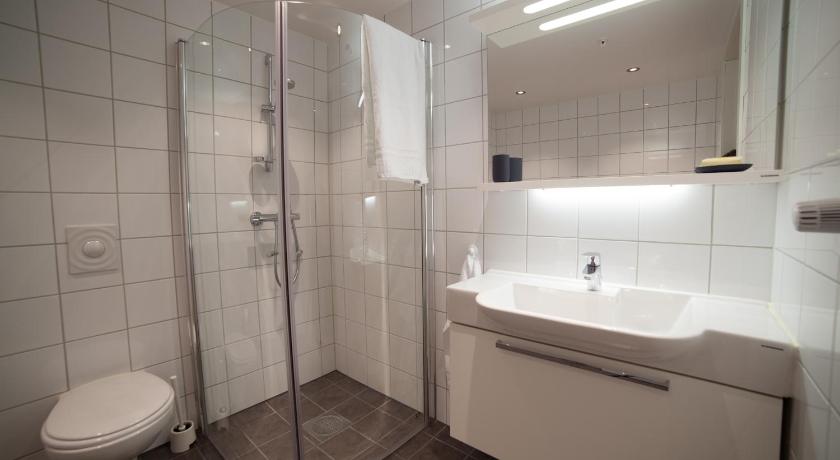 صورة شقة من غرفة واحدة (One-Bedroom Apartment) 2