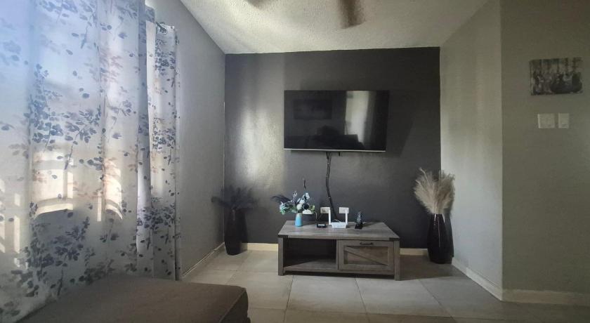 Modern Apartment at the Worthington