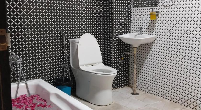 HOTEL GULAB HERITAGE - image 14