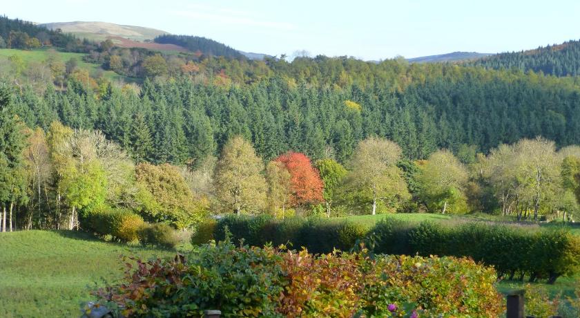 Dee Valley Cottages - image 2