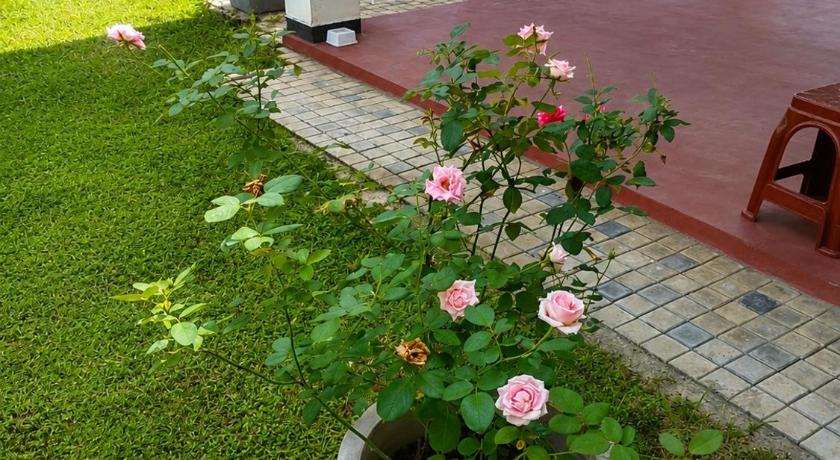 Amore Beach Resort - image 50