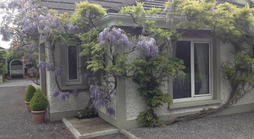 a flower arrangement in the window of a house, Sea Dew B&B in Tullamore