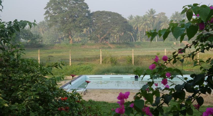 Cocoworld Bungalow photo