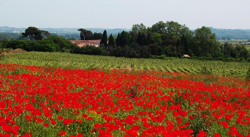 Domaine Saint Ferreol — Hotel in Narbonne