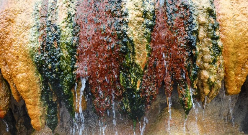 Pamukkale Termal Ece Otel