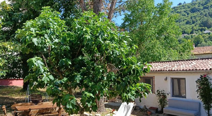 The Garden House