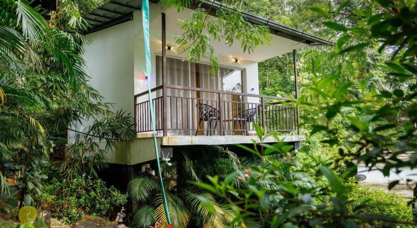 Wild Stories Resort Munnar - image 13